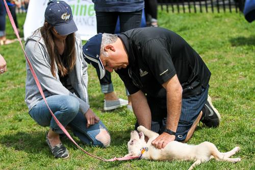 Fans play with Stella, a two month old rescue dog, before the game. Zach Montellaro | Hatchet Staff Photographer